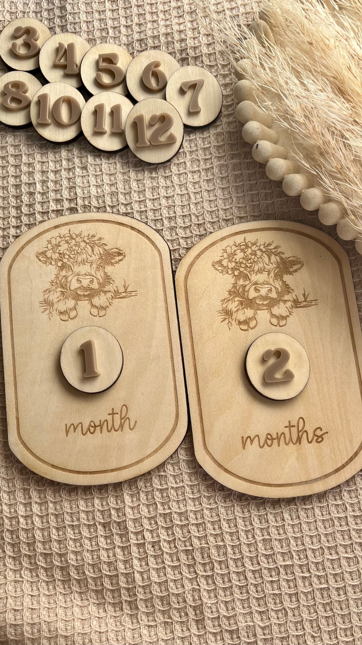 Interchangable highland cow milestone plaques
