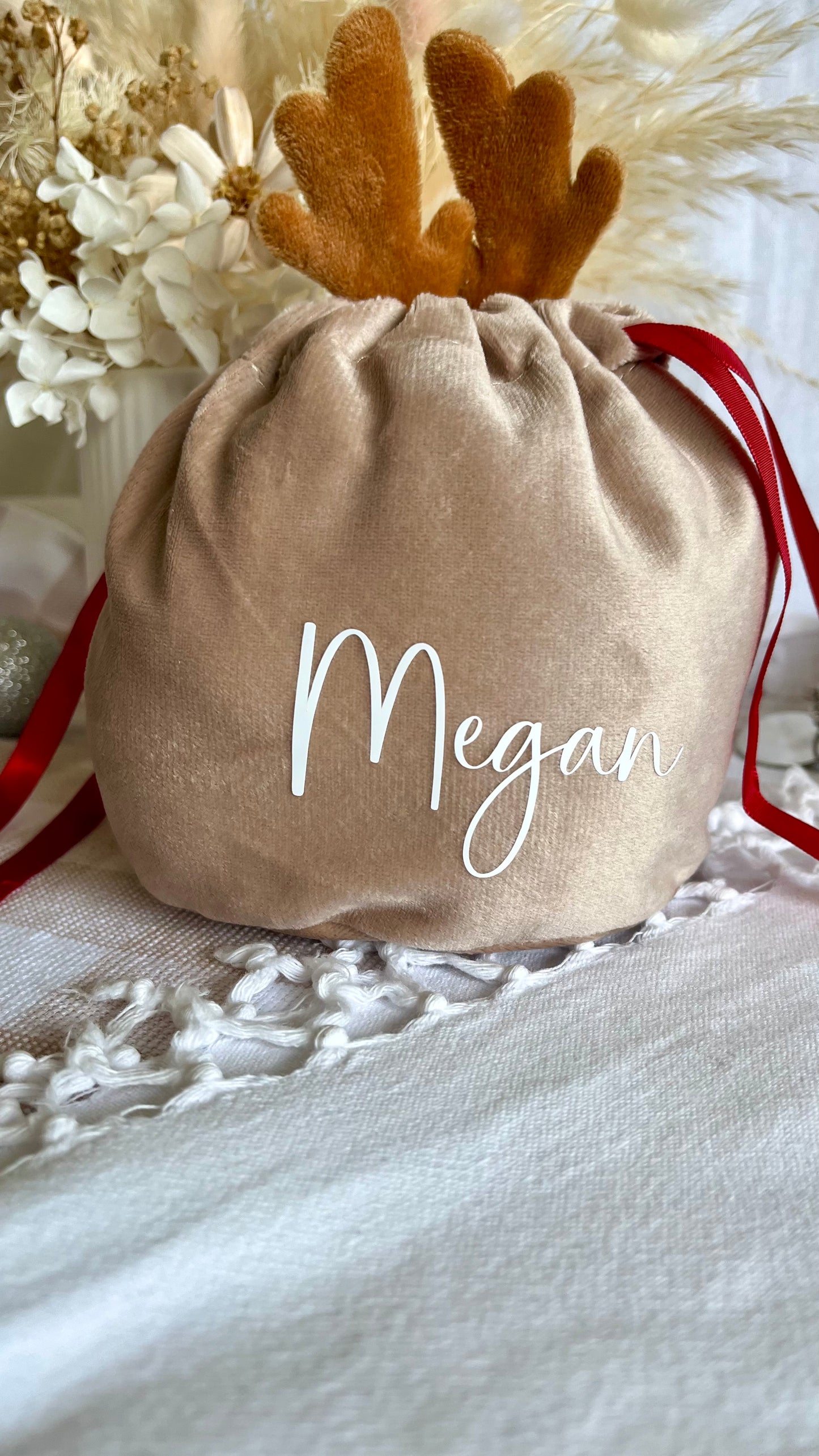 Reindeer gift bag