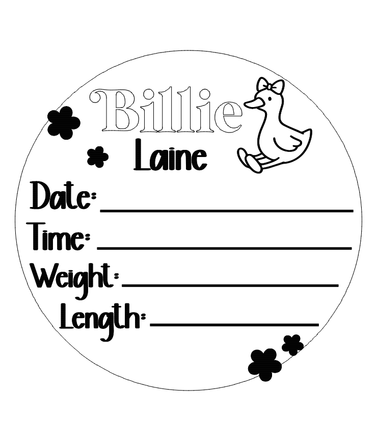 Goose/ daisy birth announcement plaque