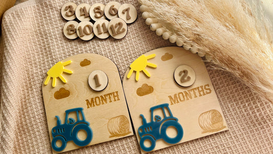 Interchangable farm milestone plaques