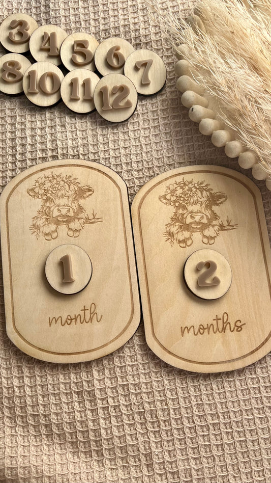 Interchangable highland cow milestone plaques
