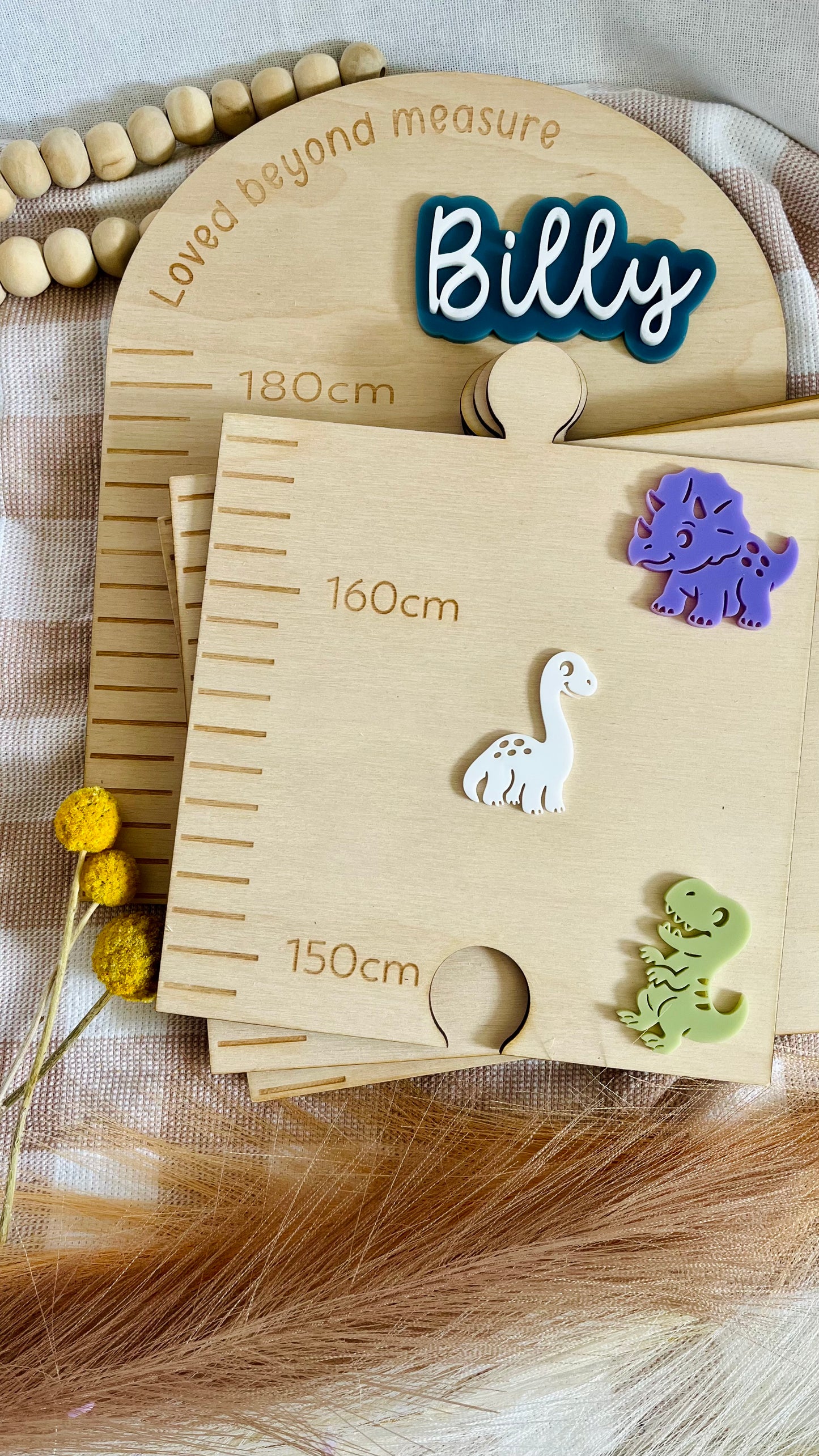 Dinosaur theme growth chart