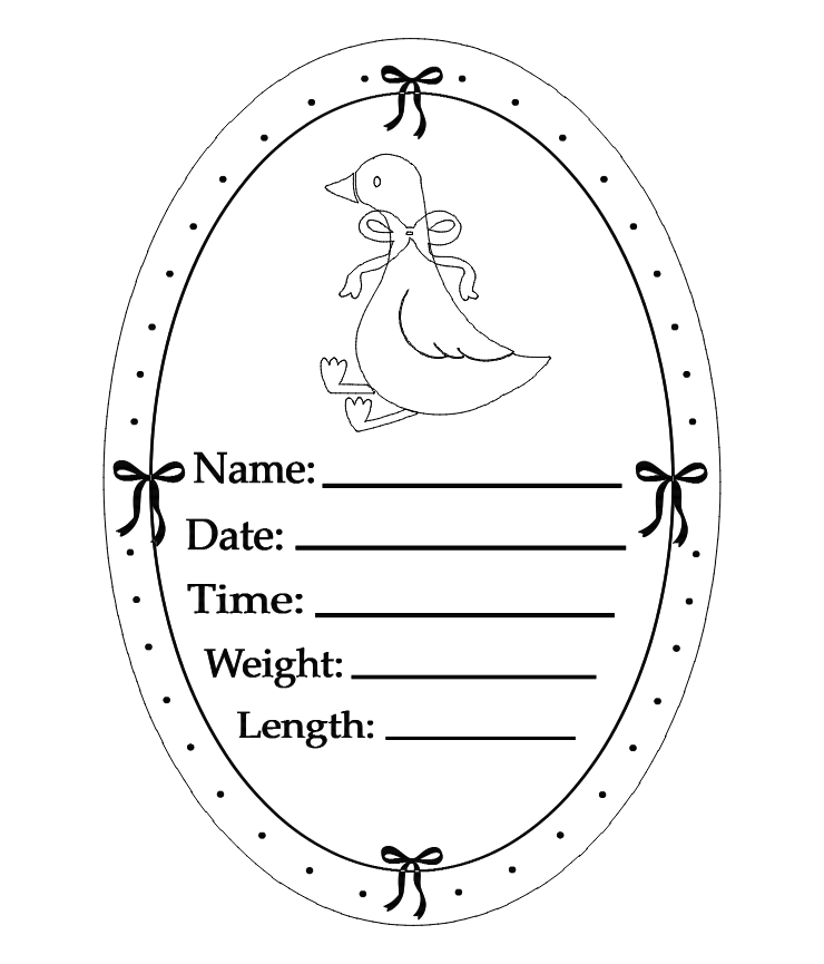 Bow and goose birth announcement