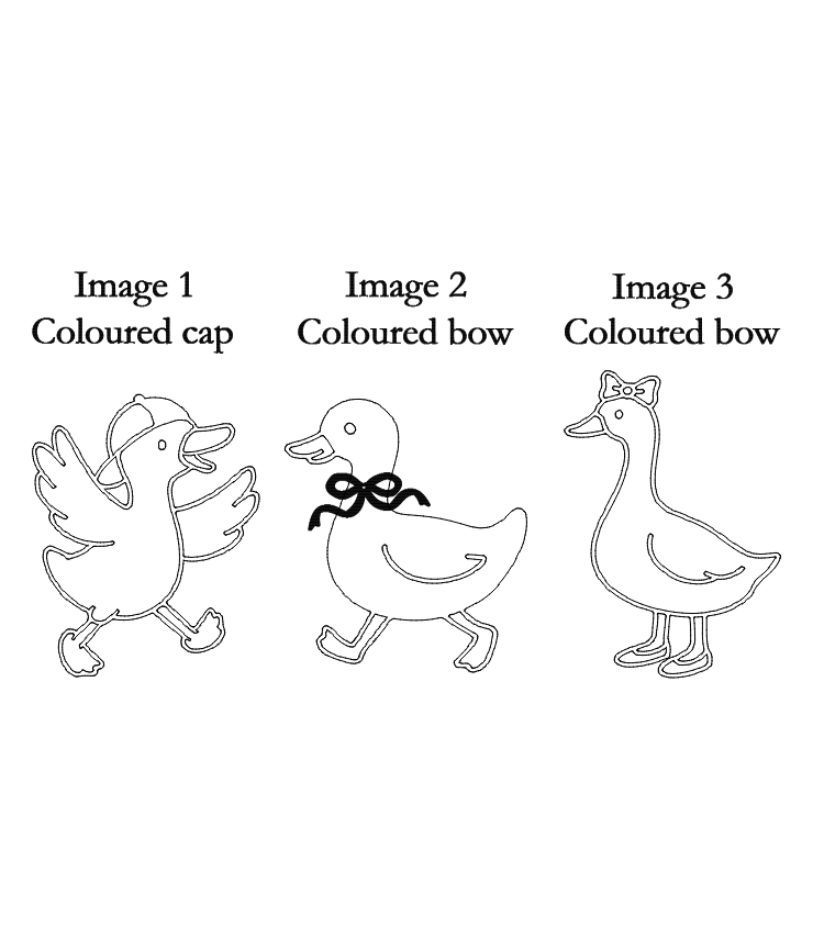 Silly goose oval birth announcement plaque