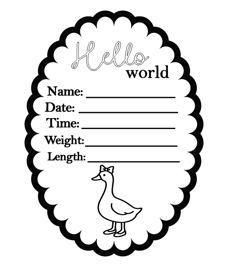 Silly goose oval birth announcement plaque